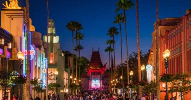 Disney World Hollywood Studios